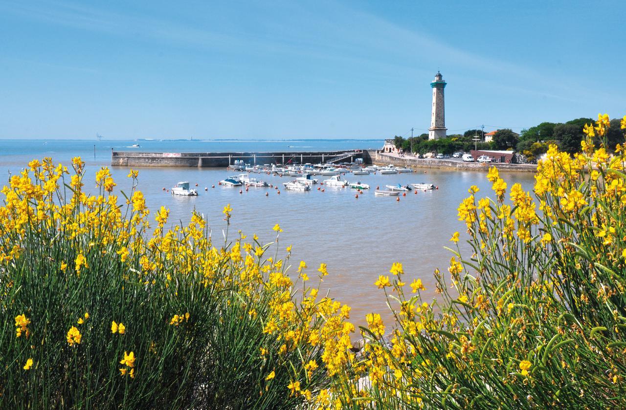 Camping Le Dauphin Hotell Saint-Georges-de-Didonne Exteriör bild